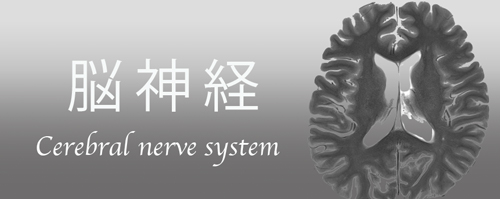 cerebral-nerve-system