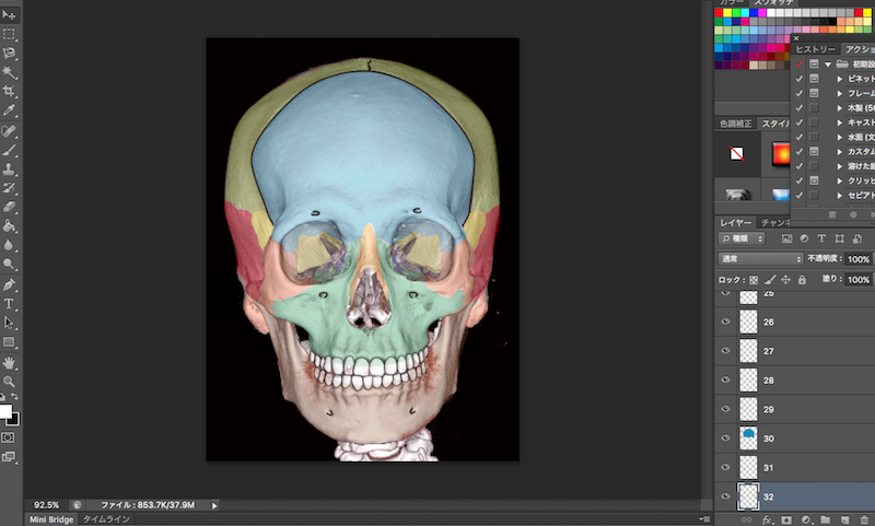 facial bone front