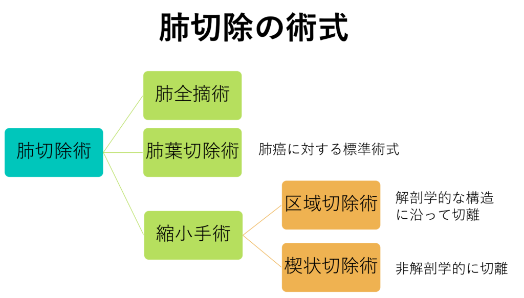 改訂新版　肺切除術 局所解剖と手術手技 肺切除術―局所解剖と手術手技 | 他嘉司, 荒井, 正俊, 塩沢 |本