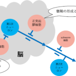 中枢神経様 リクエスト 4点 まとめ商品 9784758120982.jpg