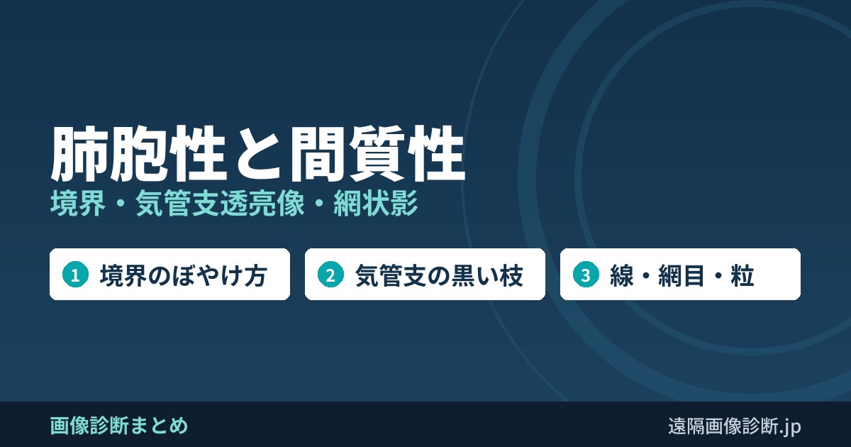 肺胞性と間質性 境界・気管支透亮像・網状影