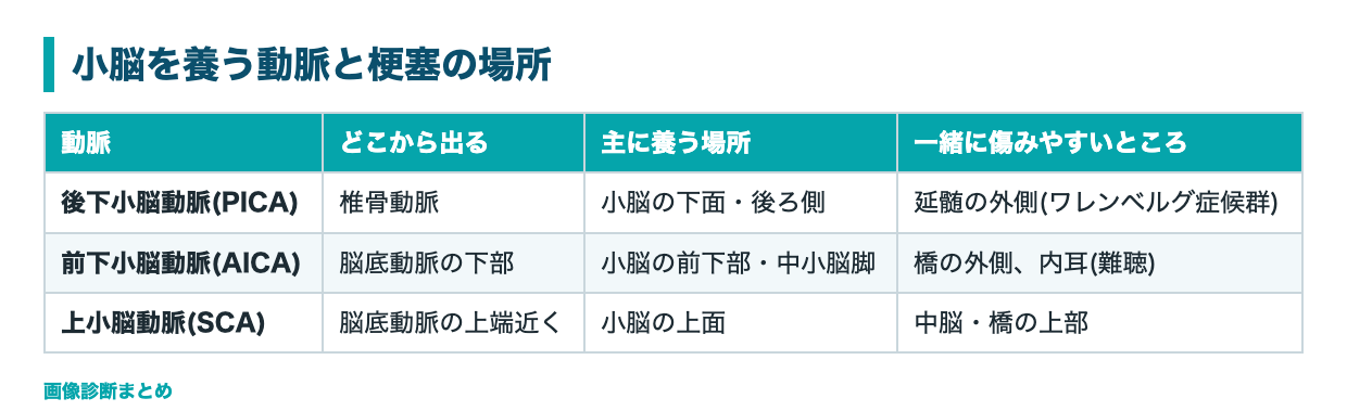 小脳を養う動脈と梗塞の場所の表