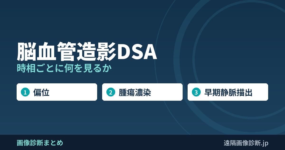 脳血管造影DSA 時相ごとに何を見るか