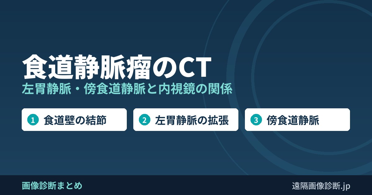 食道静脈瘤のCT 左胃静脈・傍食道静脈と内視鏡の関係