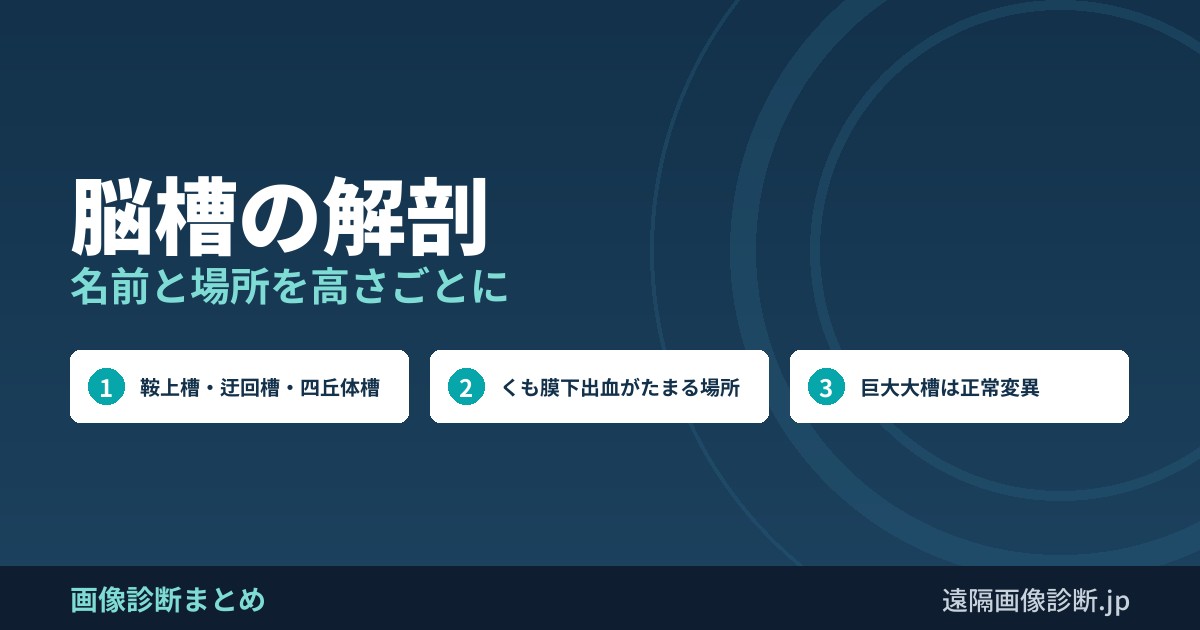 脳槽の解剖