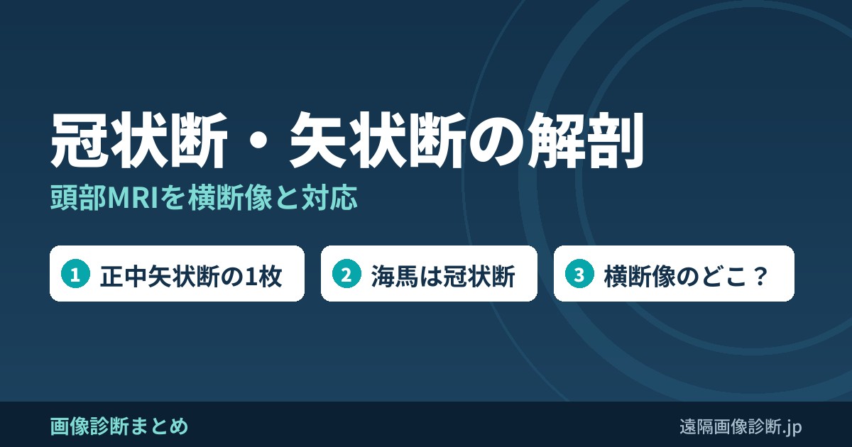 冠状断・矢状断の解剖