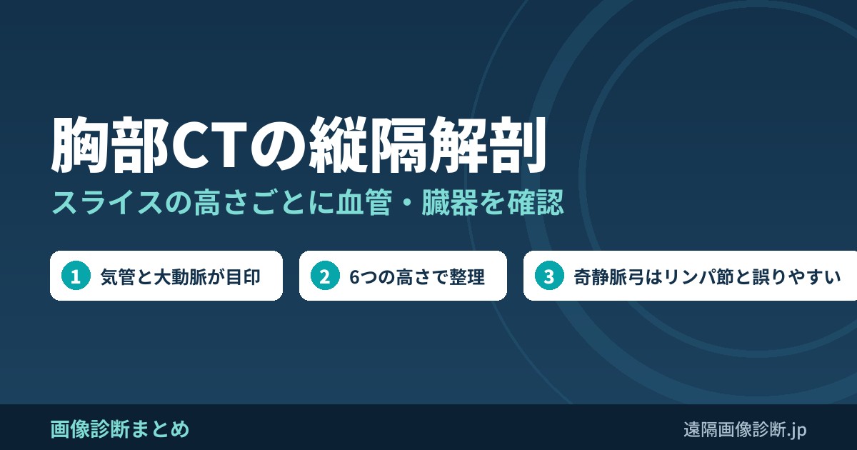 胸部CTの縦隔解剖