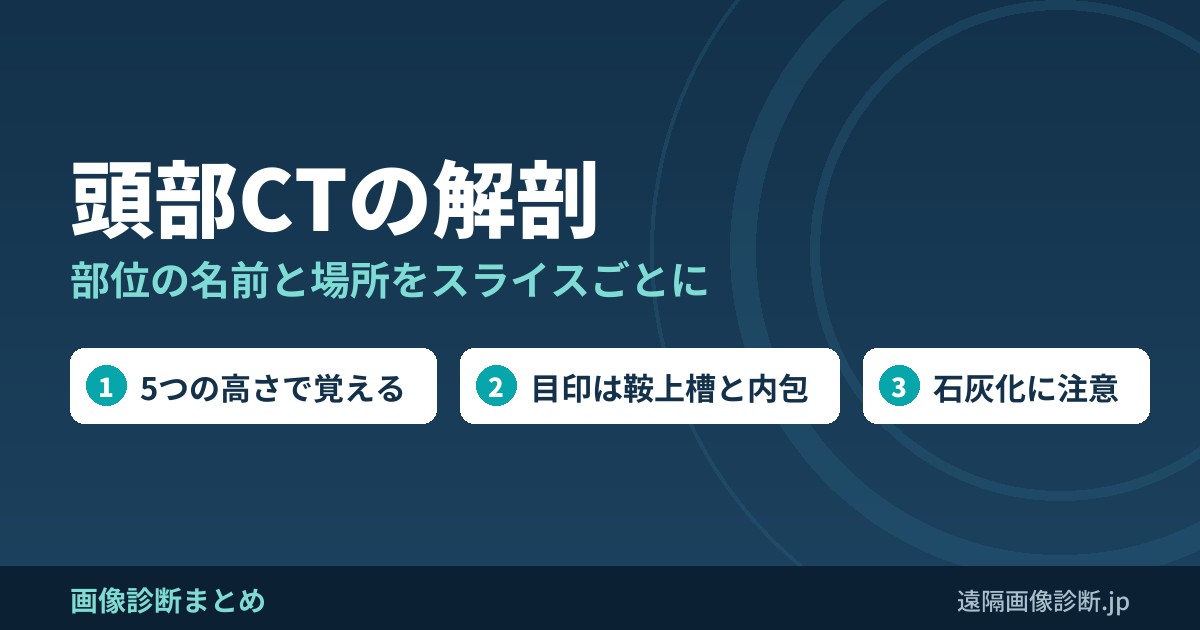 頭部CTの解剖
