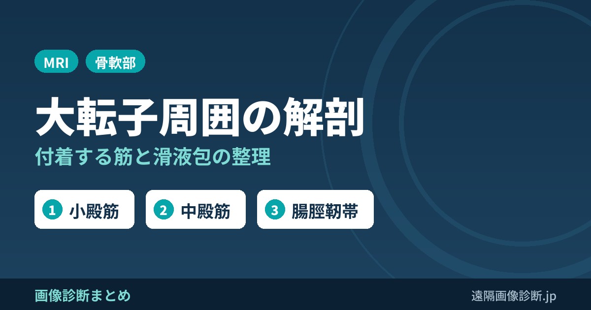 大腿骨大転子周囲に付着するもの(小殿筋、中殿筋、滑液包(bursa))