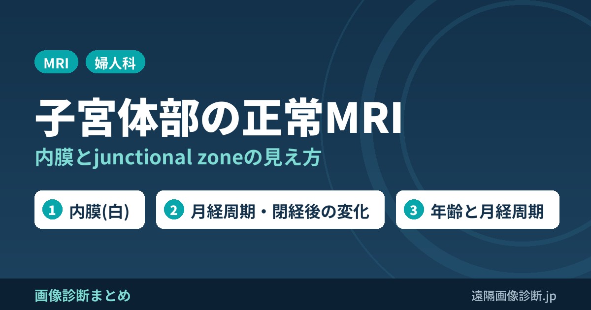 子宮体部の正常解剖とMRI｜内膜・junctional zoneの厚さと月経周期・閉経後の変化