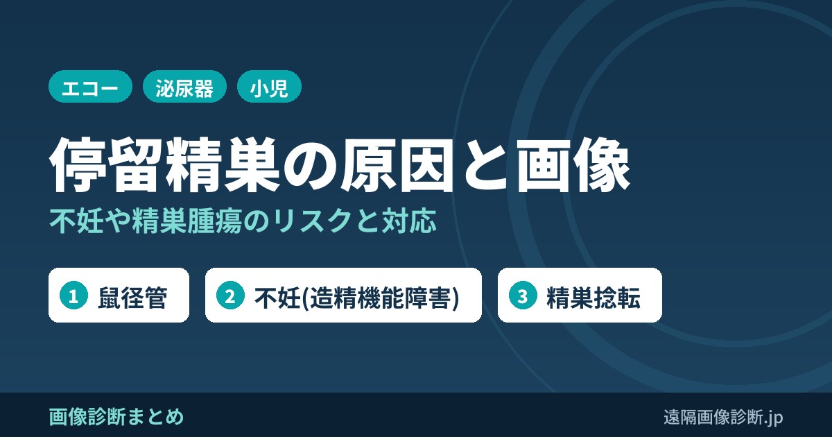 停留精巣の原因は？不妊になる？画像は？