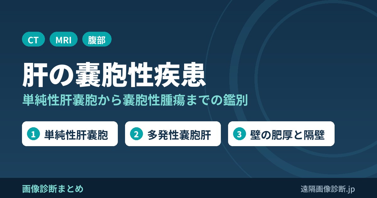 肝の嚢胞性疾患の鑑別診断は？