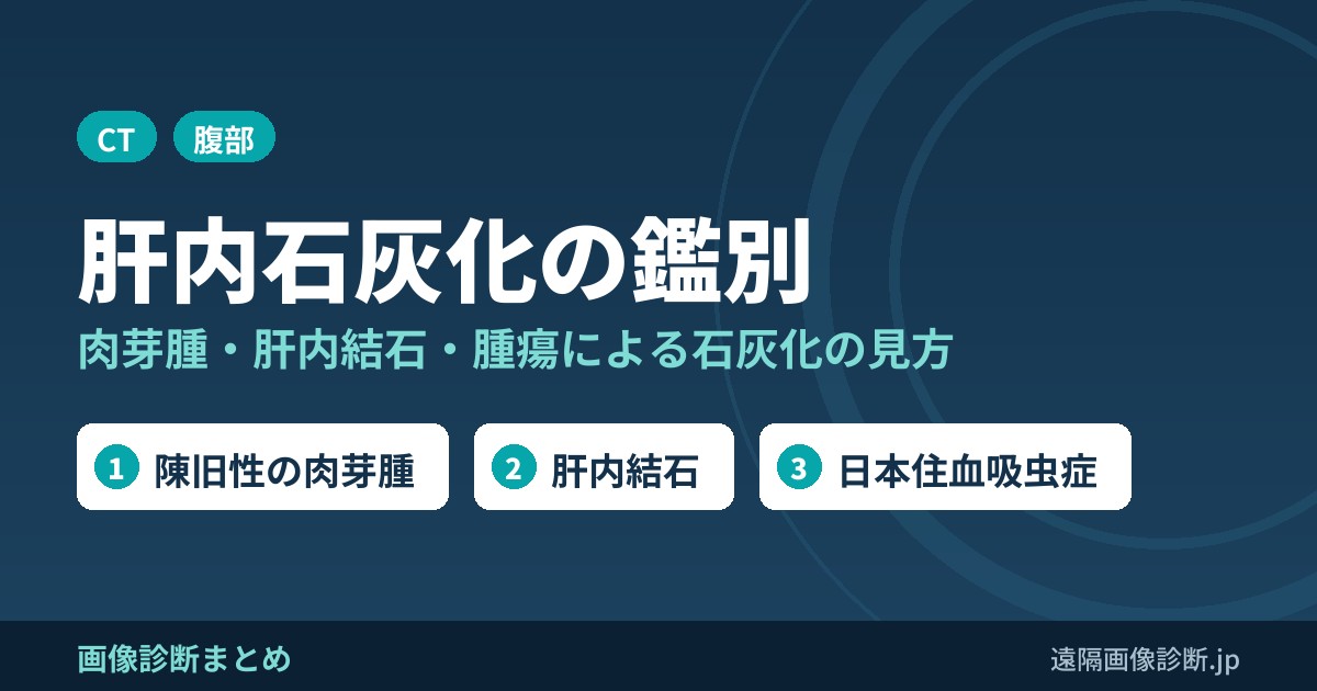 肝内に石灰化をみたときの鑑別診断