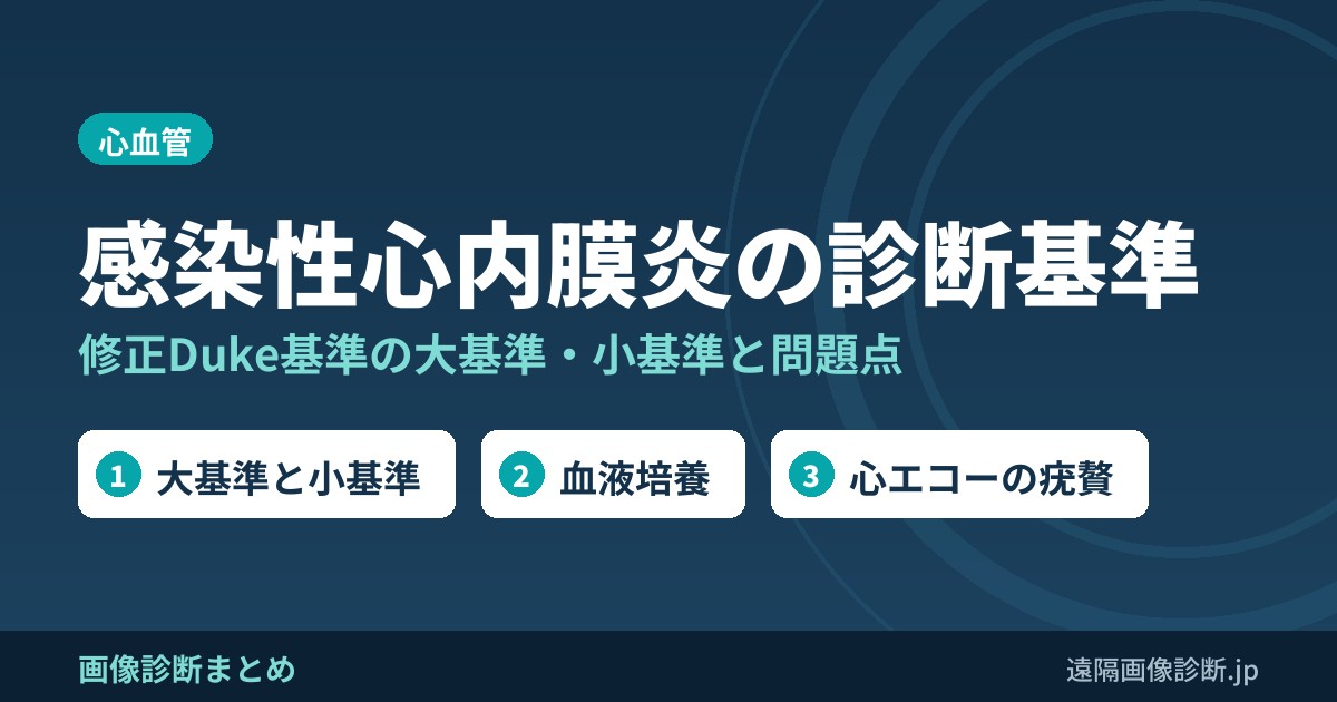感染性心内膜炎の診断基準とは？(Modified Duke's criteria)