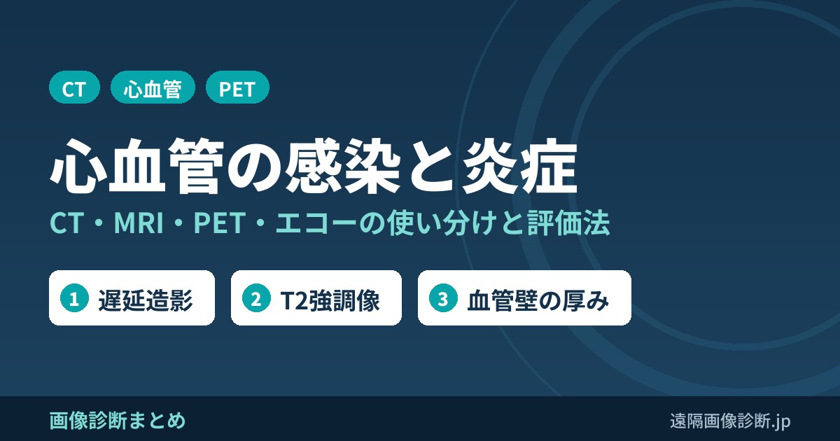 心血管の感染・炎症の画像評価総論