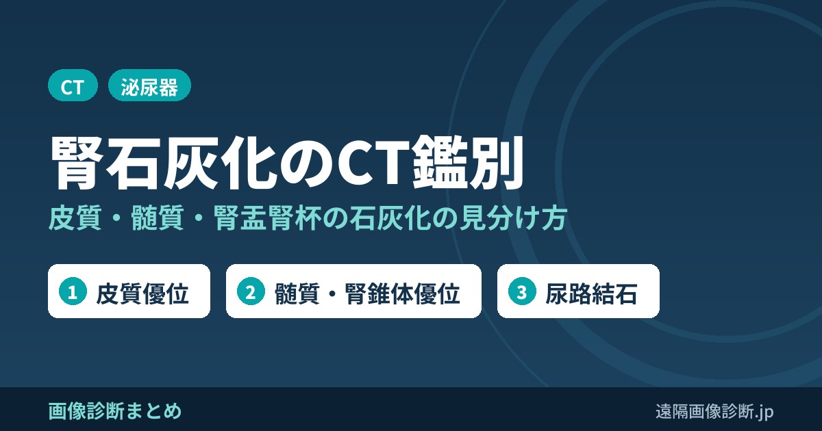 腎臓の石灰化(腎石灰化)とは？原因と心配な場合、CT画像での皮質・髄質・腎盂腎杯の鑑別