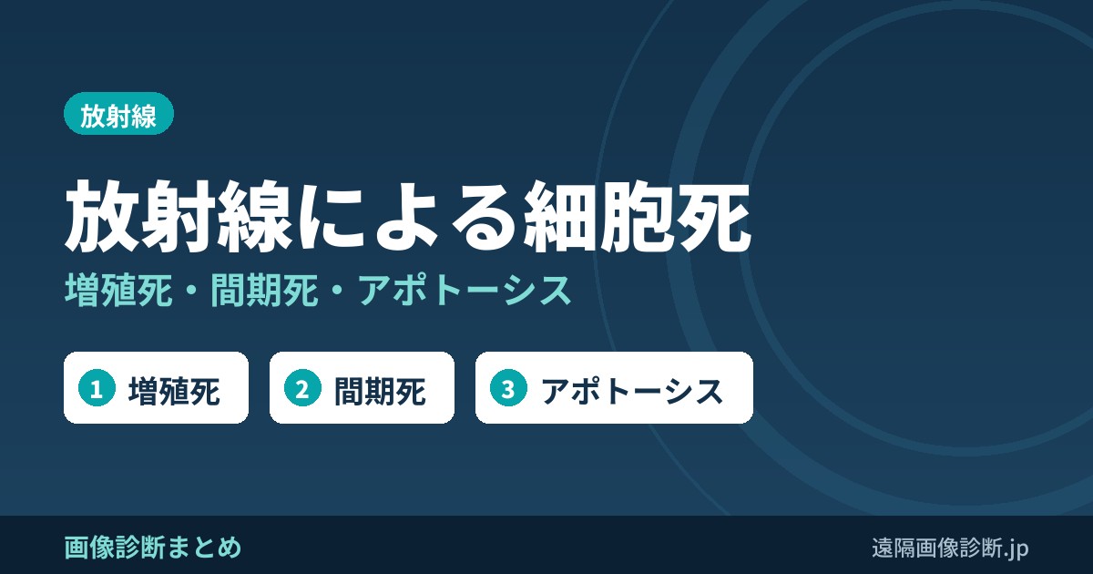 放射線による細胞死とは？増殖死(分裂死)と間期死・アポトーシス
