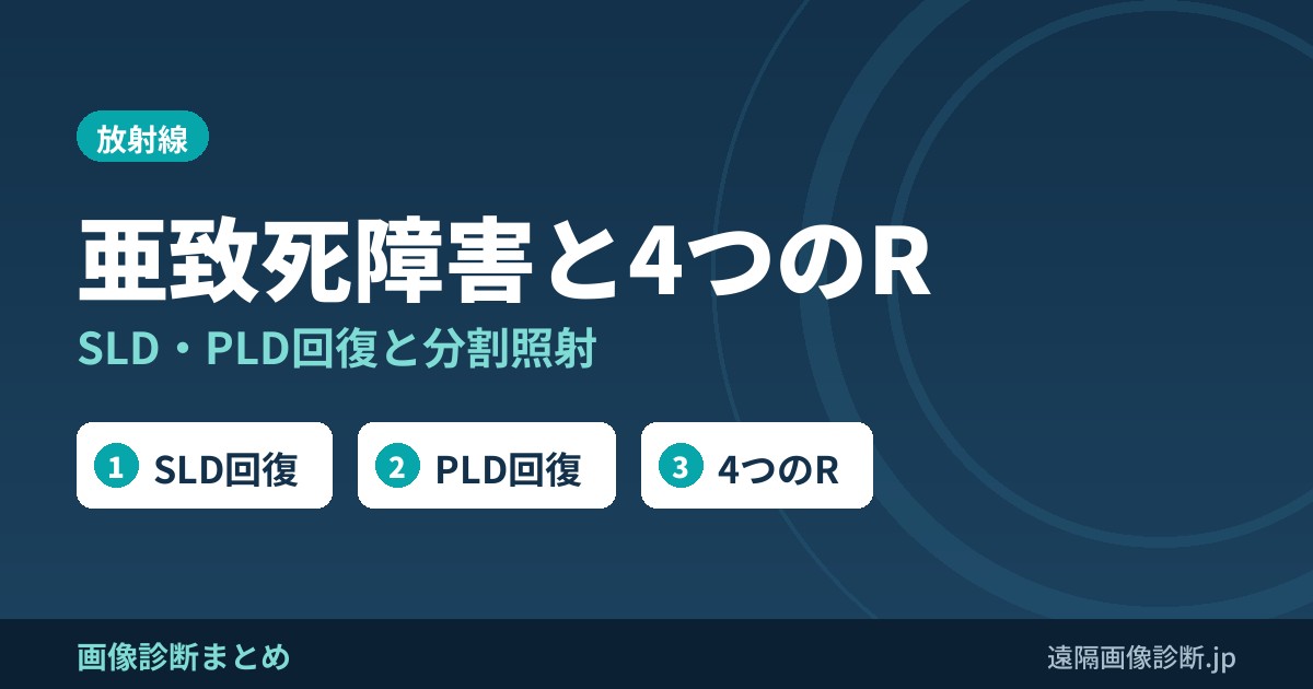 放射線照射後の亜致死障害回復(SLD)・潜在的致死障害回復(PLD)と4つのR