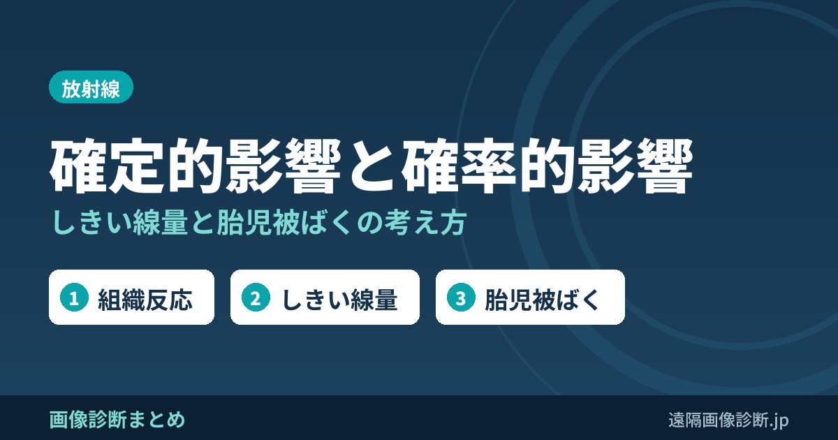 放射線被ばくの確定的影響(組織反応)と確率的影響｜しきい線量と胎児被ばく