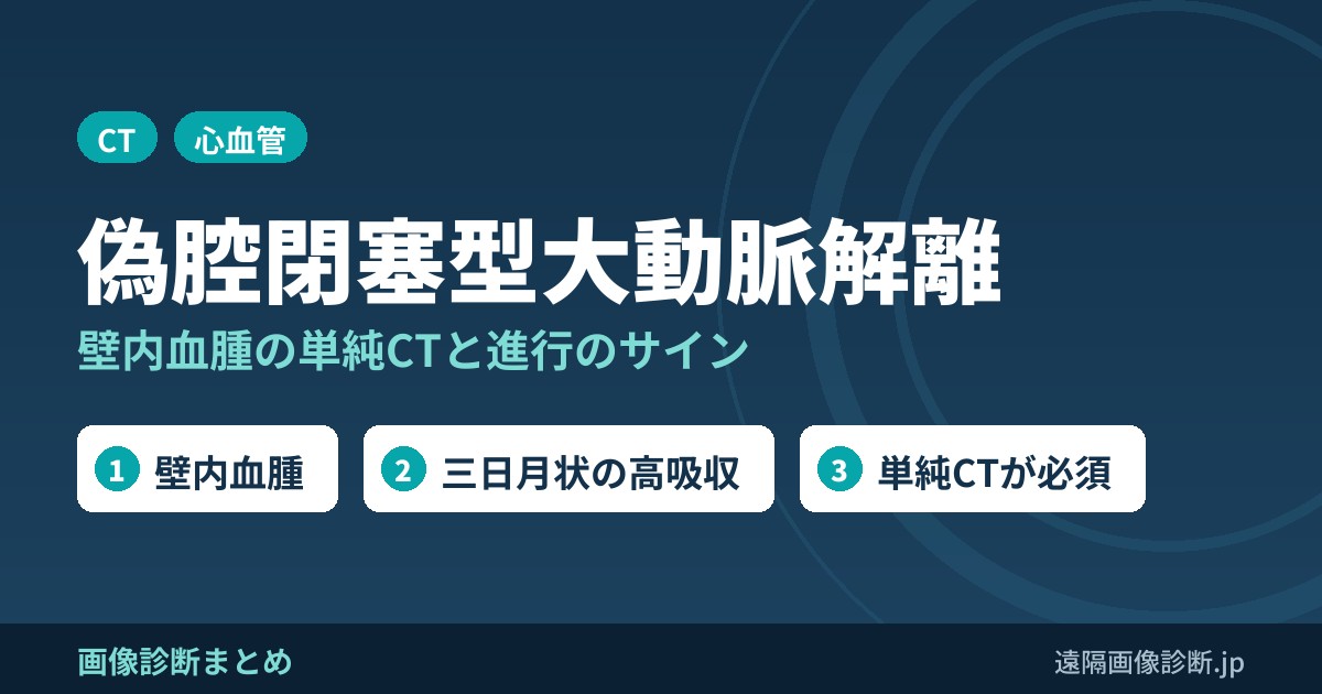 偽腔閉塞型大動脈解離の画像診断