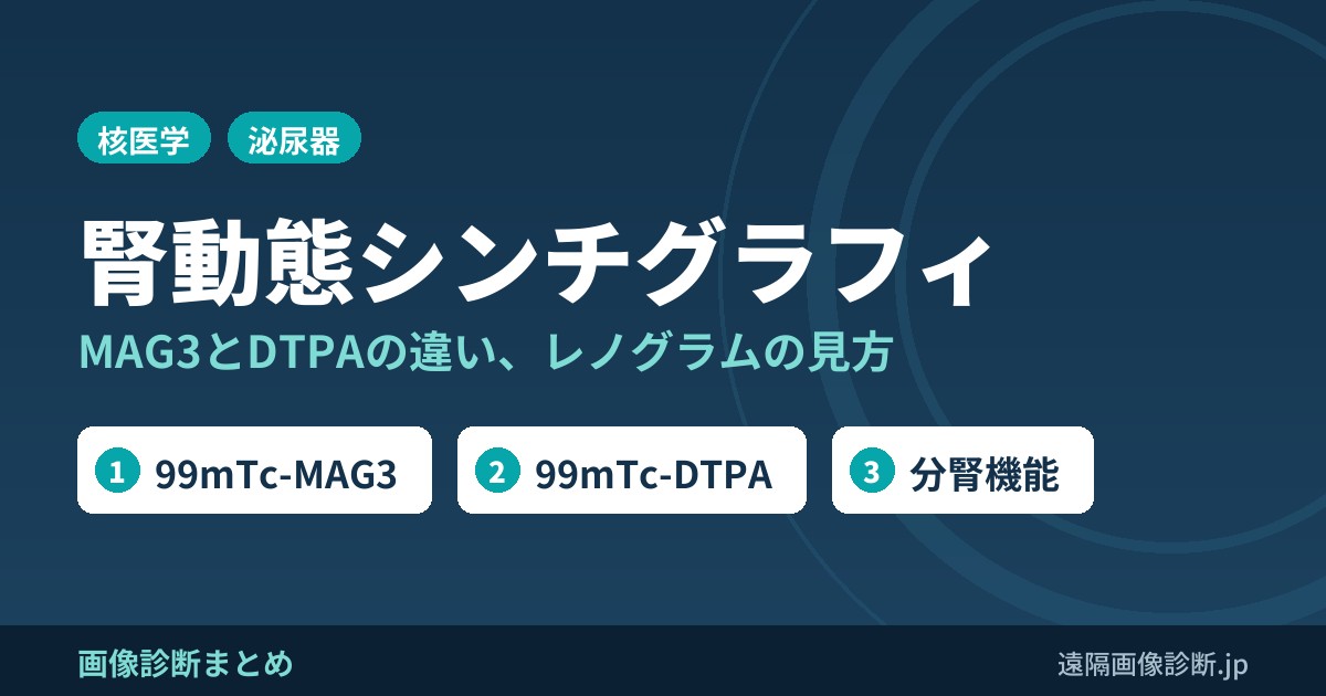 腎動態シンチグラフィとは？MAG3とDTPAの違い、レノグラムの見方と分腎機能
