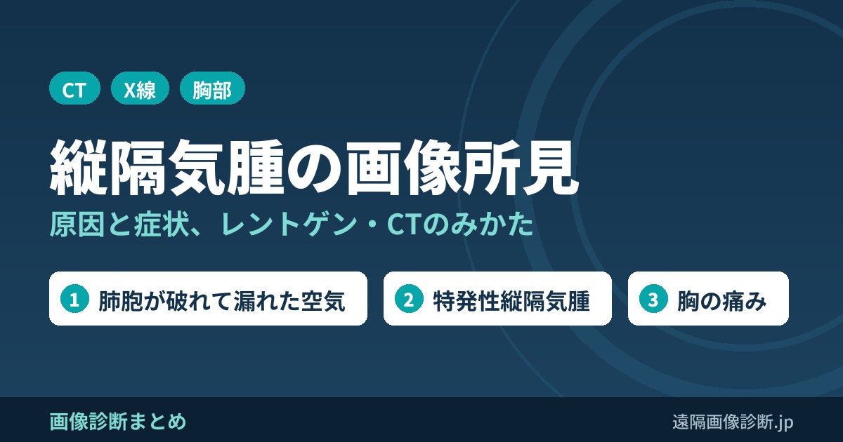 縦隔気腫(気縦隔)とは？原因・症状・治療とレントゲン・CT画像所見をわかりやすく解説