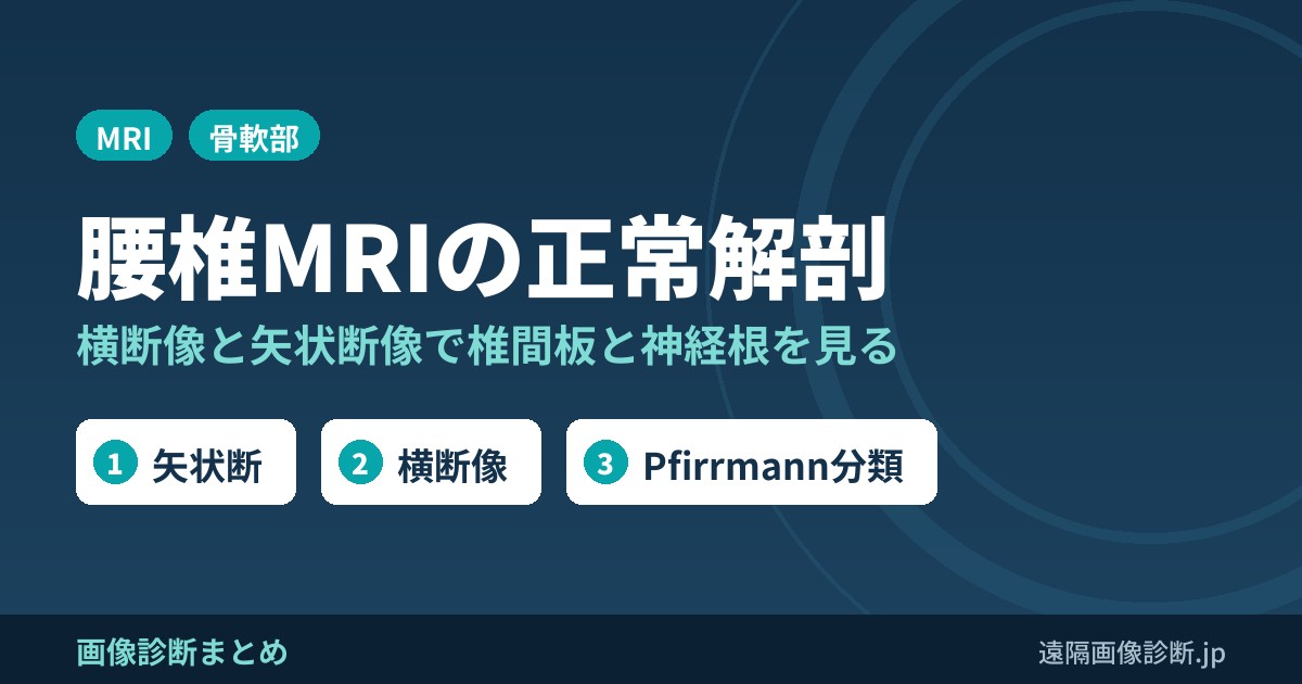 腰椎MRIの正常解剖を無料で見られるツール｜横断像・矢状断像と椎間板・神経根の関係