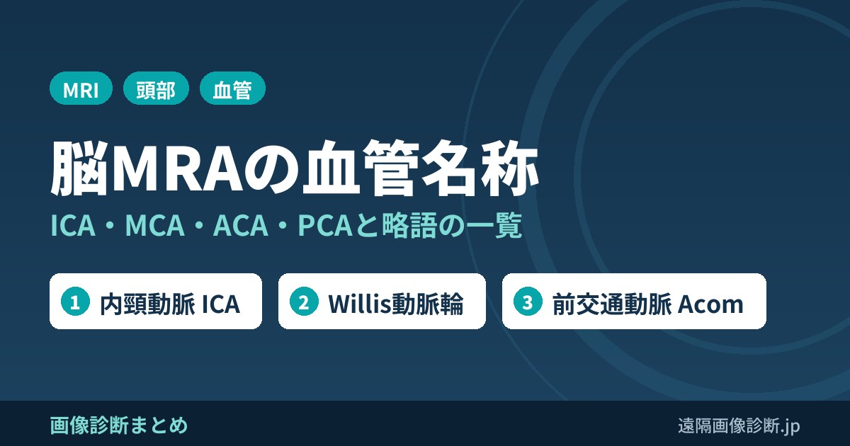 脳MRAの血管名称と略語一覧｜ICA・MCA・ACA・PCA・Willis動脈輪