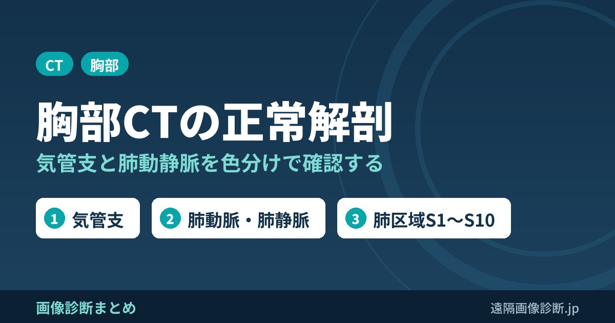 胸部(肺)CTの正常解剖ツール