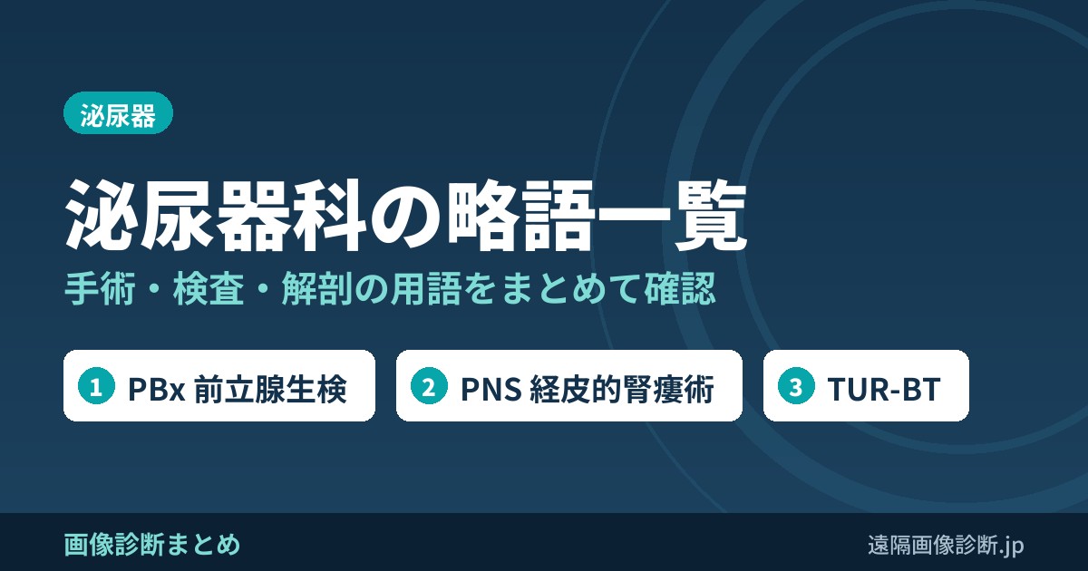 泌尿器科の略語一覧｜手術・検査・解剖の用語(PBx・PNS・TUR-BT・TUL・RARPなど)