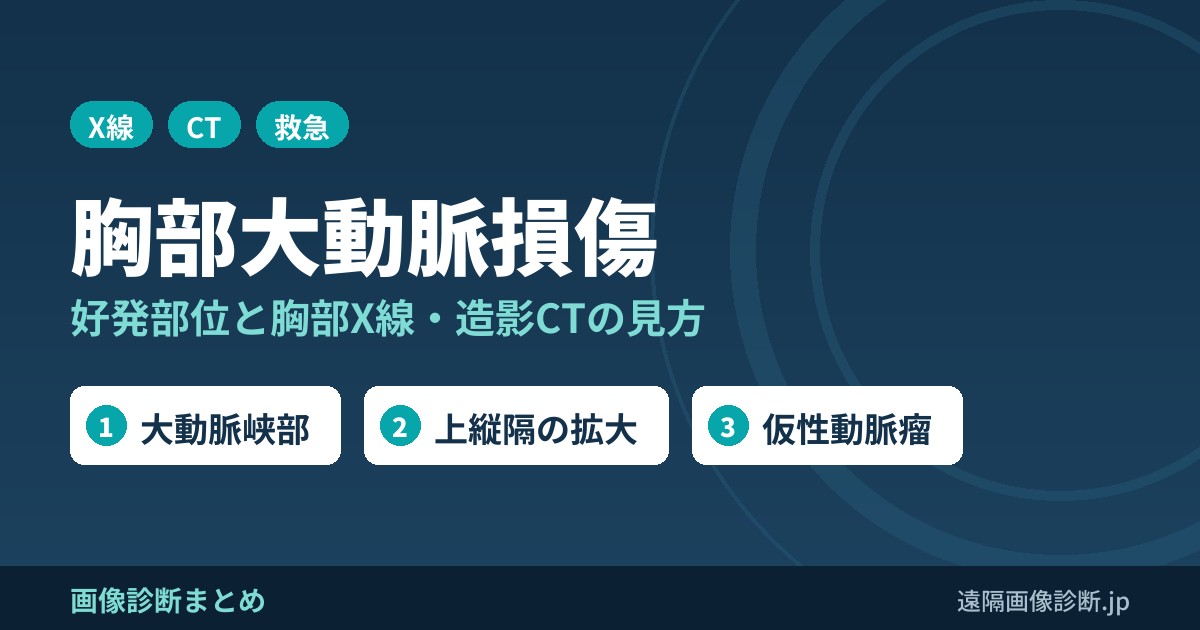 胸部大動脈損傷の画像診断、好発部位、原因は？