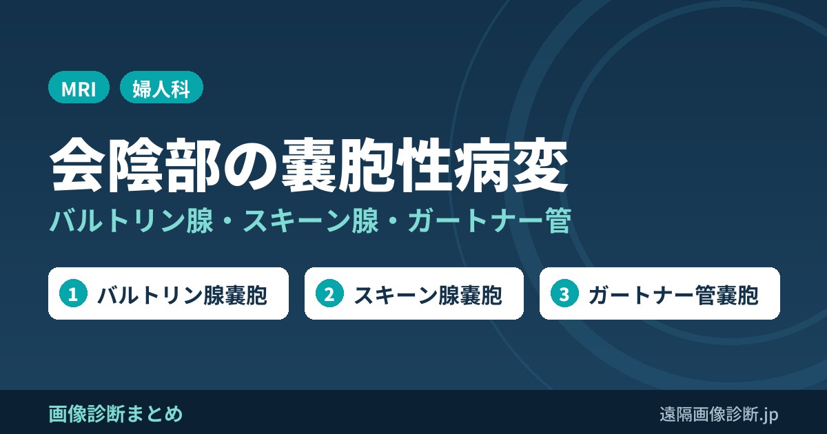 バルトリン腺嚢胞・スキーン腺嚢胞・ガートナー管嚢胞の違い｜できる場所とMRI画像所見(会陰部の嚢胞性病変)