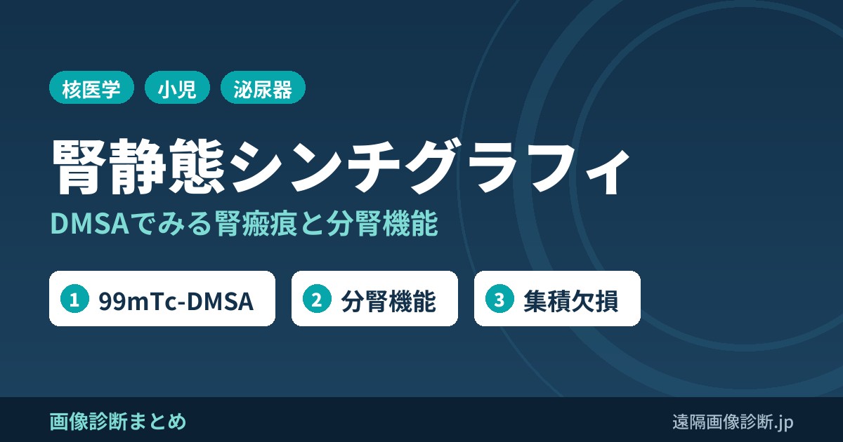 腎静態シンチグラフィの画像診断