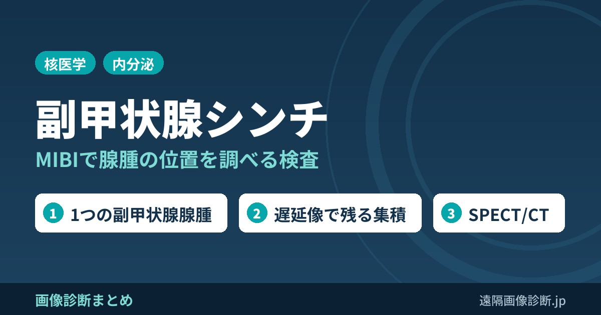副甲状腺シンチ(MIBIシンチ)とは？副甲状腺腺腫の局在診断と超音波・SPECT/CT