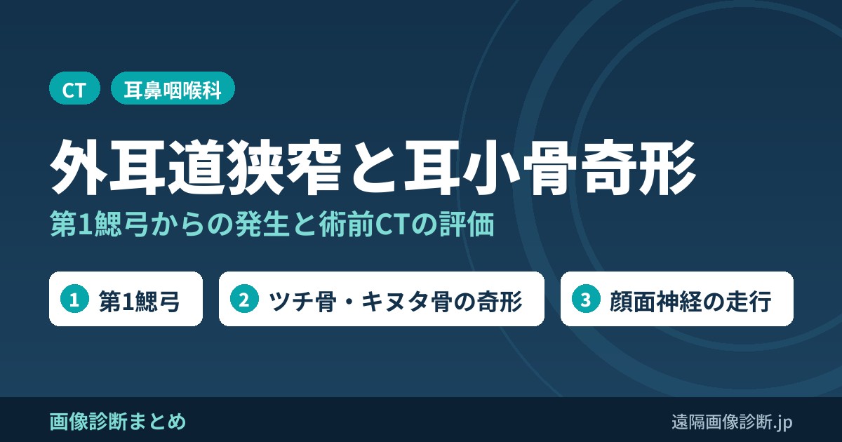 外耳道狭窄・閉塞と耳小骨奇形の関係