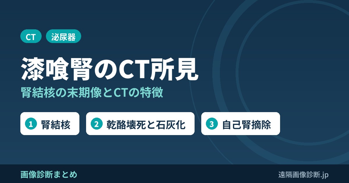 漆喰腎(putty kidney)とは？腎結核の末期像のCT画像所見