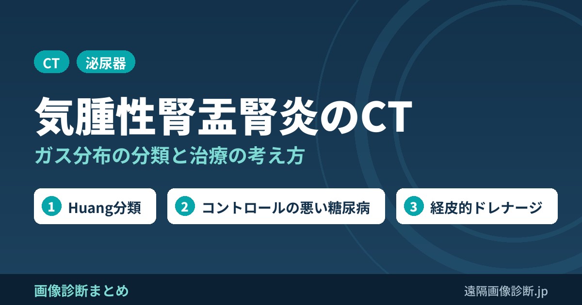 気腫性腎盂腎炎のCT画像診断｜ガスの分布による分類(Huang・Wan)と治療