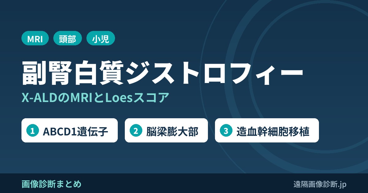 副腎白質ジストロフィーの画像診断