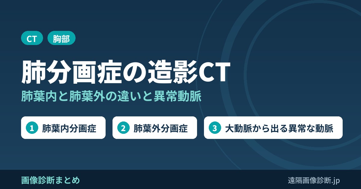 肺分画症とは？肺葉内・肺葉外分画症の違いと造影CTでの異常動脈