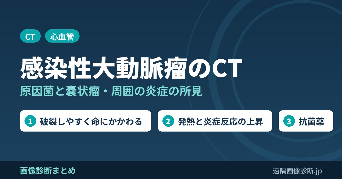 感染性大動脈瘤(感染性動脈瘤)とは？原因菌・症状と治療、CT画像所見(嚢状瘤・周囲の炎症)