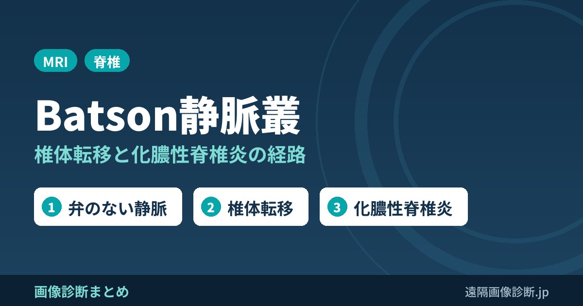 Batson静脈叢とは？椎体への骨転移・化膿性脊椎炎の経路