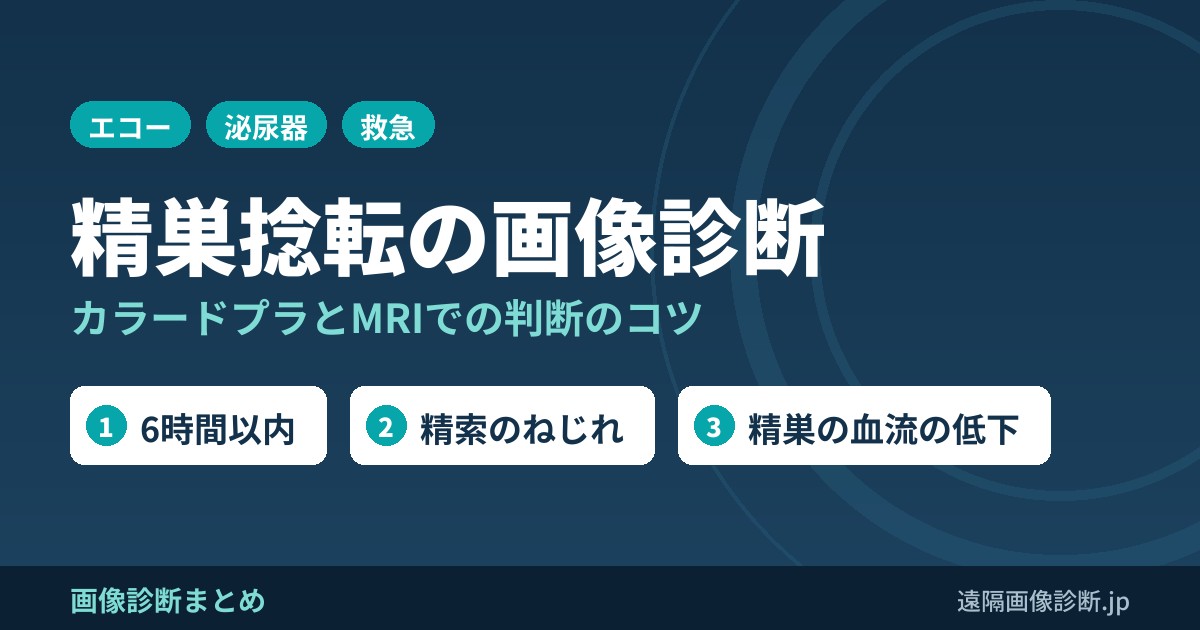 精巣捻転とは？MRI画像診断のポイントはこれ！