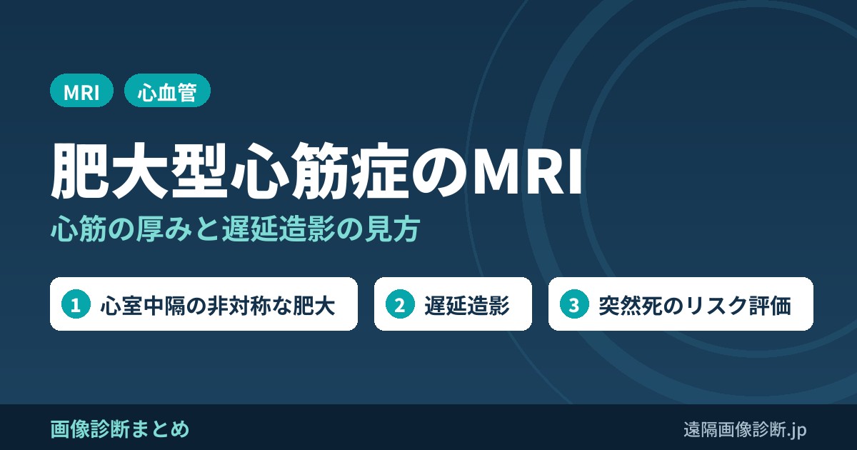 肥大型心筋症の画像診断