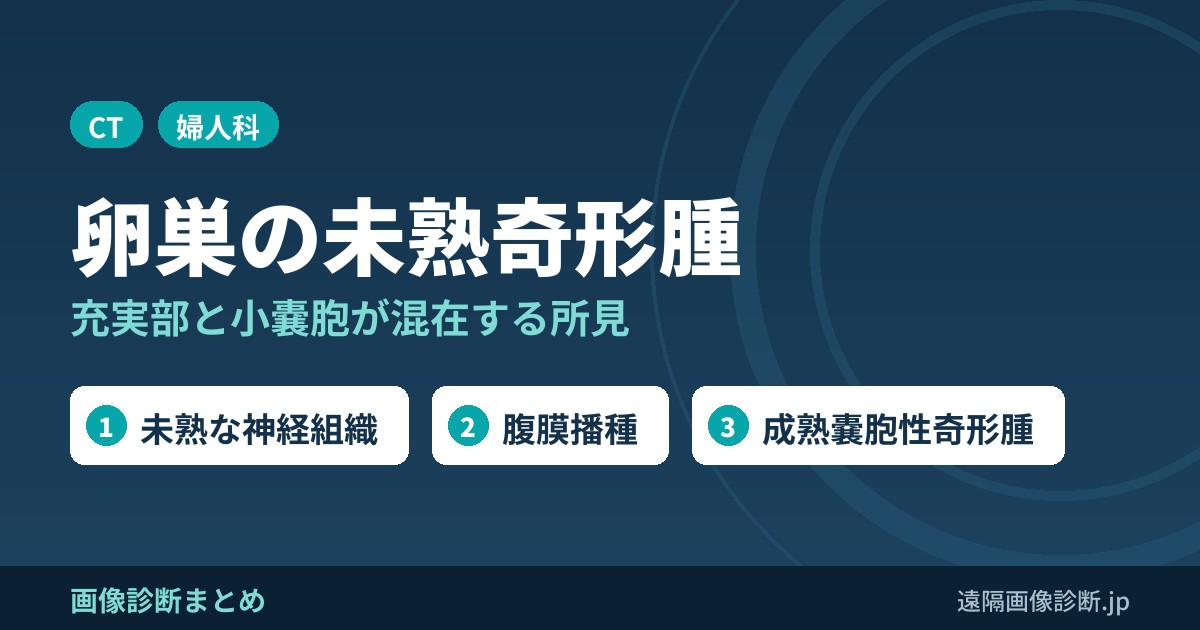 未熟奇形腫の画像診断