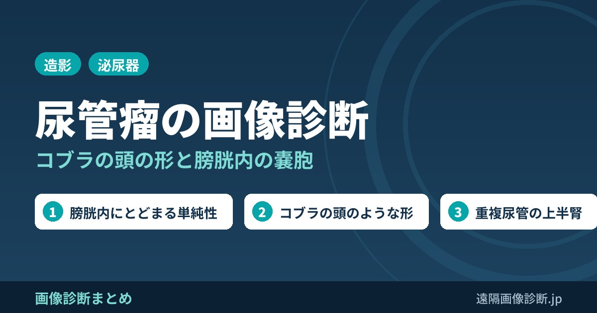 尿管瘤とは？画像診断のポイントは？