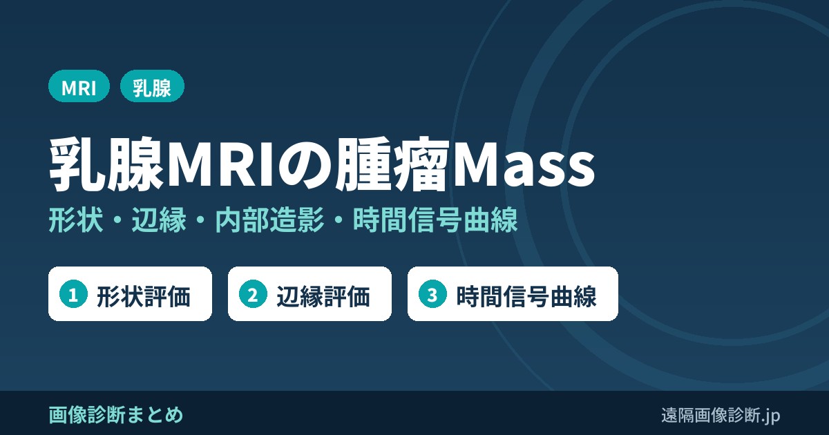 BI-RADS MRIに基づく乳腺MRI読影法(Mass・腫瘤)｜形状・辺縁・内部造影・時間信号曲線