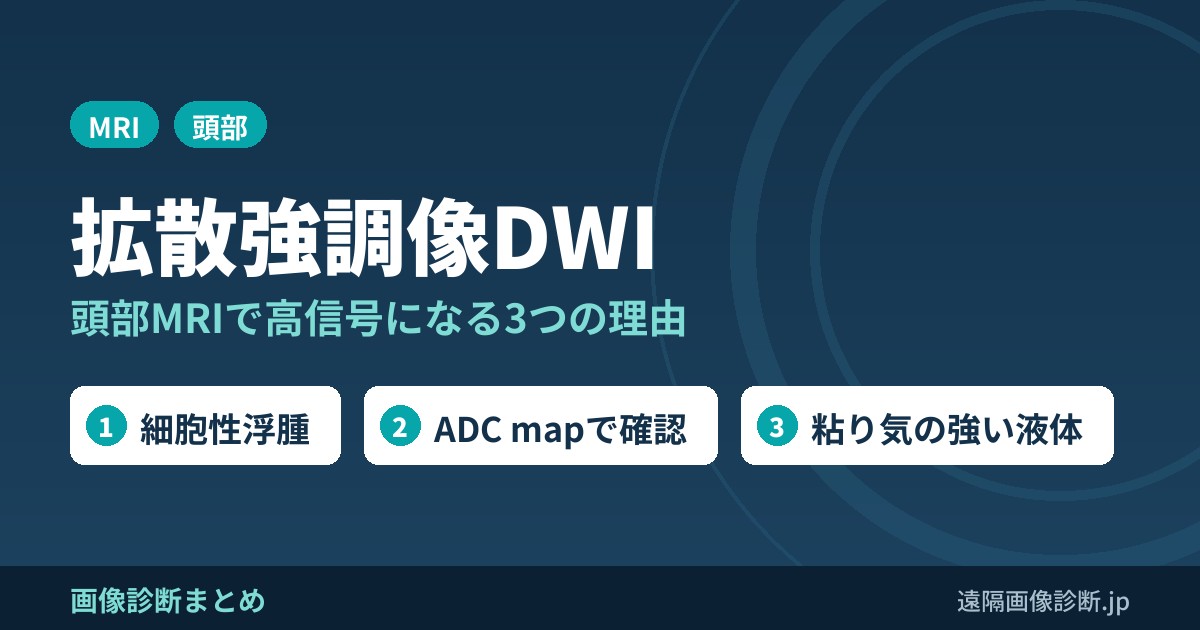 拡散強調像(DWI)とは？頭部MRIで高信号になる3つの理由とADC・T2 shine-through