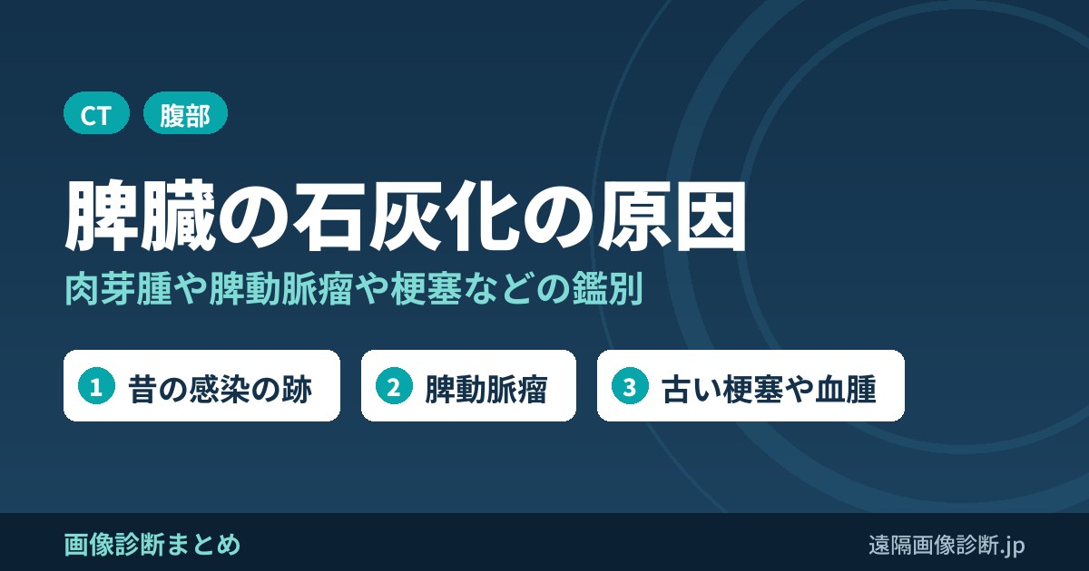 脾臓の石灰化の原因｜肉芽腫・脾動脈瘤・梗塞・Gamna-Gandy結節など