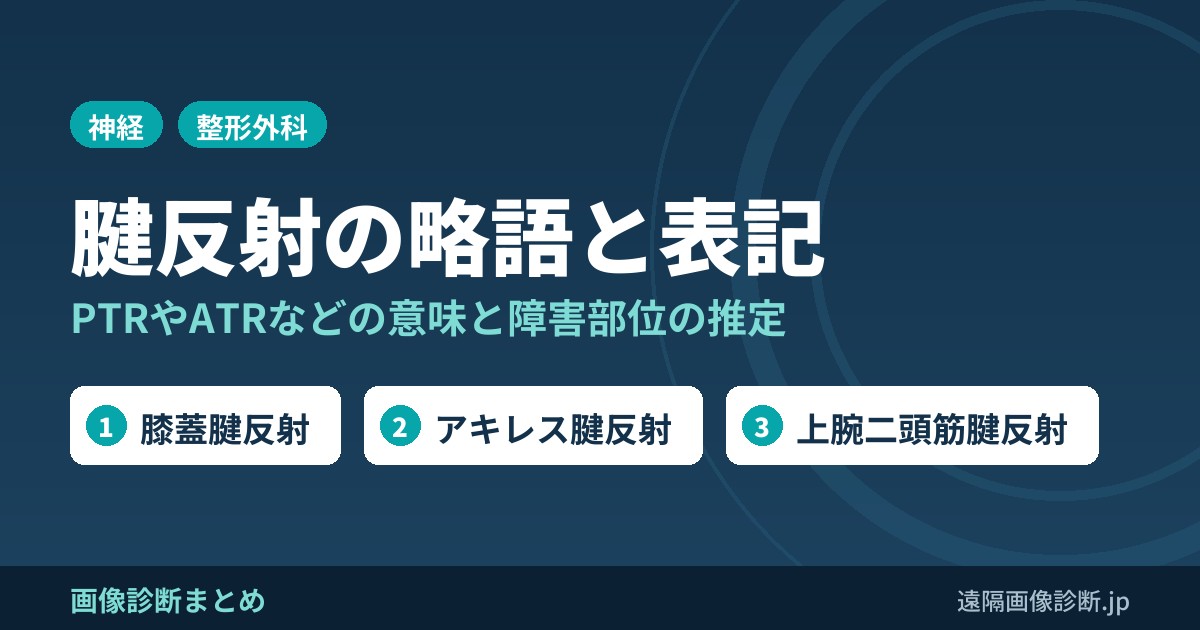 腱反射の略語と表記｜PTR・ATR・BTRなどの意味と0〜4グレードの書き方