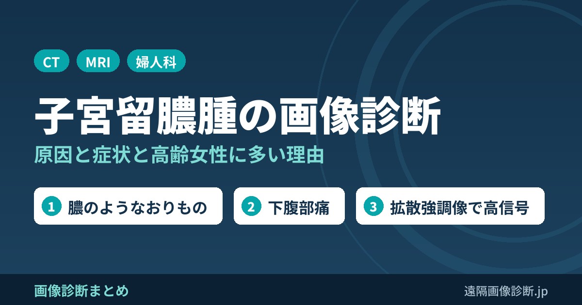 子宮留膿腫(子宮留膿症)とは？原因・症状と高齢女性に多い理由、CT・MRI画像所見と子宮留水症・留血症との違い